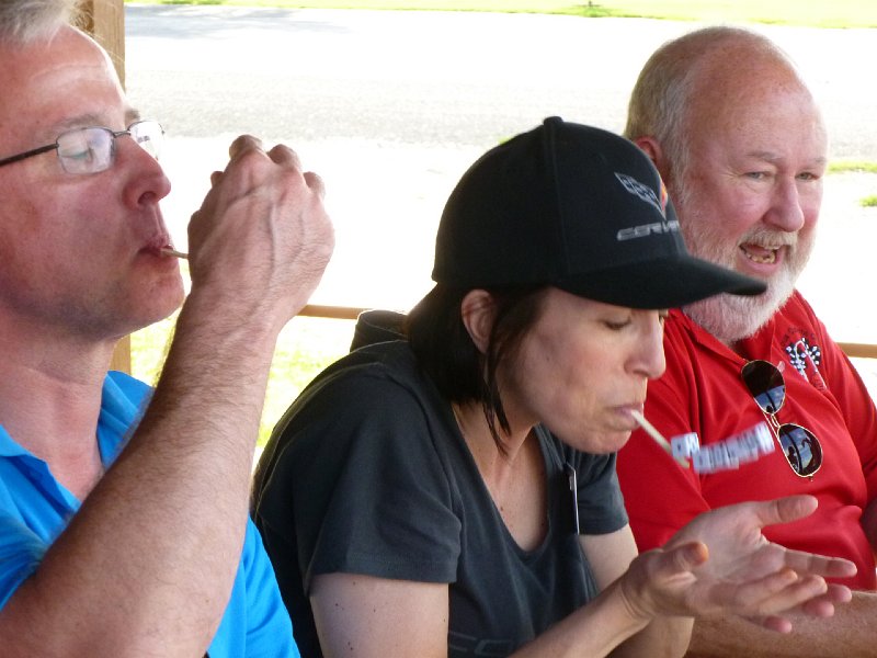 STLCC PICNIC SEPT 2014 163
